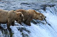 Endlich in Alaska