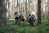 Skandinavien 2011