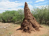 Termitenhügel