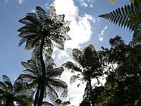 Neuseeland 2007