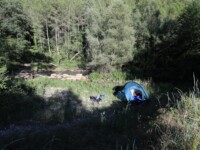 Perfekter Zeltplatz am klaren Fluss