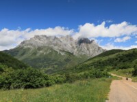 Picos de Europa