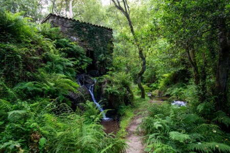 Alte Getreidemühle mit Horizontalrad entlang dem Mühlepfad bei Carral