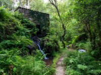 Alte Getreidemühle mit Horizontalrad entlang dem Mühlepfad bei Carral