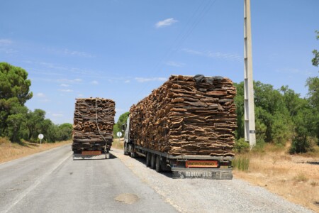 Tonnenweise Kork