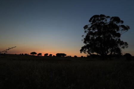 Sonnenuntergang im Alentejo