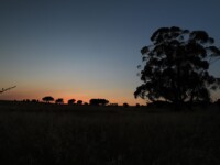Sonnenuntergang im Alentejo
