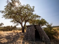 Dolmen von Herdade da Candieira