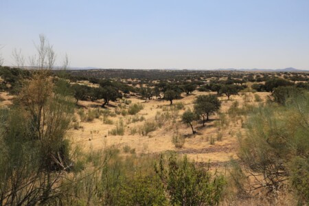 Extremadura (Spanien)