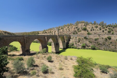 Kein Photoshop, eher ein gekipptes Ökosystem mit zu warmem Wasser