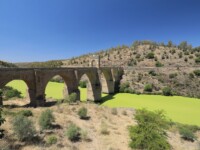 Kein Photoshop, eher ein gekipptes Ökosystem mit zu warmem Wasser