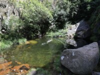 Badetümpel Poço do Inferno - das einzige Inferno wäre hier die Schlange