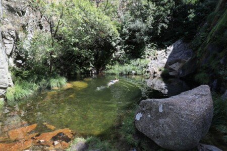Badetümpel Poço do Inferno - das einzige Inferno wäre hier die Schlange