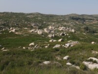 Parque Natural da Serra Estrela