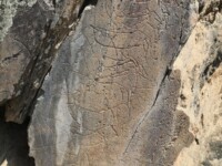 Sich überlagernde Petroglyphen im Parque Arqueológico do Vale do Côa
