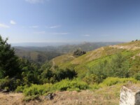 Die Landschaft wird grüner im Parque Natural do Alvão