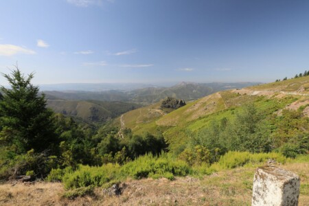 Die Landschaft wird grüner im Parque Natural do Alvão