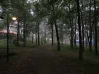 Unser Lieblingscampingplatz in Lamas de Mouro