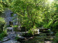 Das idyllische Tälchen Rocky Valley bei Tintagel