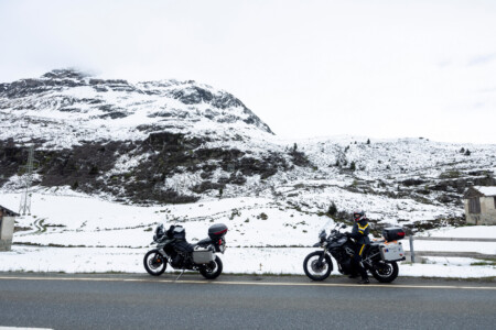 Auf dem Julier liegt anfangs Juni noch viel Schnee, selbst die Frühlingsblumen wurden kürzlich vom Neuschnee überrascht.