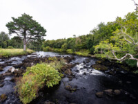 Blackstones Bridge auf der Kerry Peninsula