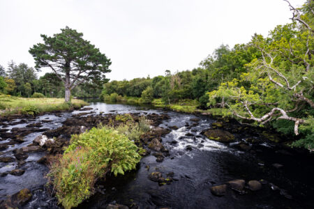 Blackstones Bridge auf der Kerry Peninsula